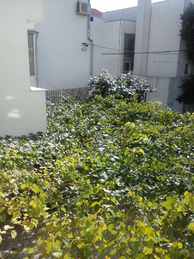 Maric Apartman
