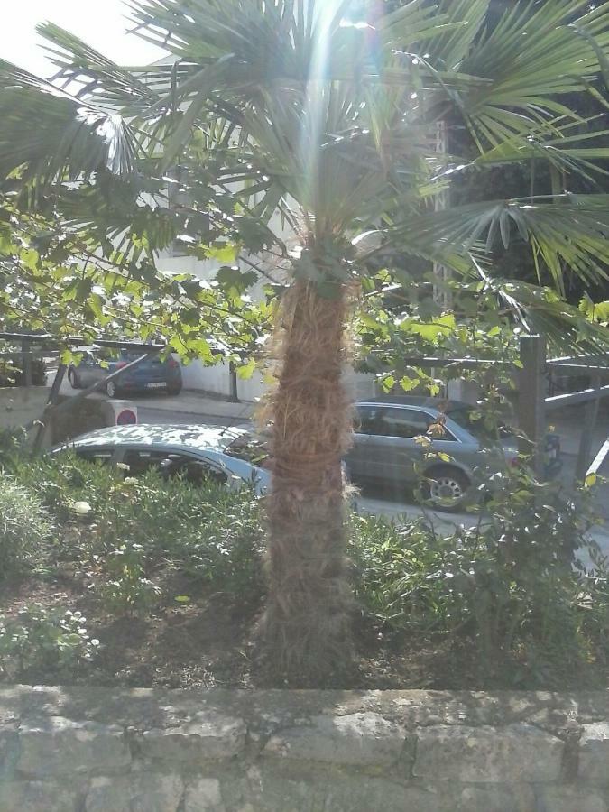Apartment Maric *